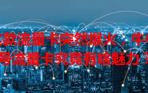 这款流量卡突然爆火，牛牛号流量卡究竟有啥魅力？
