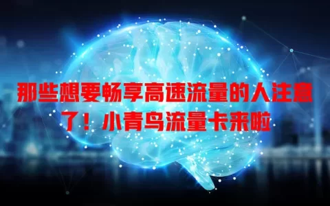 那些想要畅享高速流量的人注意了！小青鸟流量卡来啦