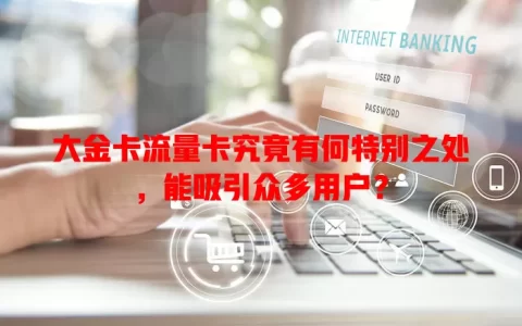 大金卡流量卡究竟有何特别之处，能吸引众多用户？
