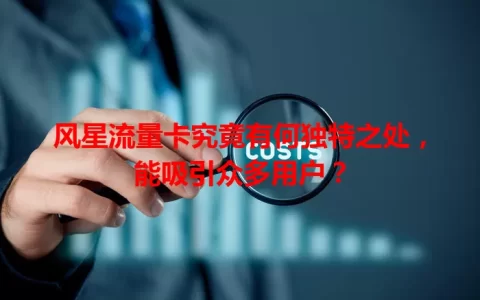 风星流量卡究竟有何独特之处，能吸引众多用户？