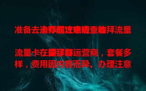 准备去迪拜的注意啦！迪拜流量卡办理攻略请查收

在迪拜办流量卡，要了解运营商，套餐多样，费用因内容而异。办理注意身份信息等细节，提前准备，让你在迪拜随时畅连网络，分享精彩旅程 。