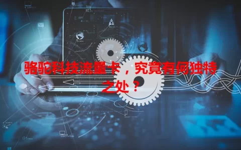 骆驼科技流量卡，究竟有何独特之处？