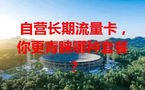 自营长期流量卡，你更青睐哪种套餐？
