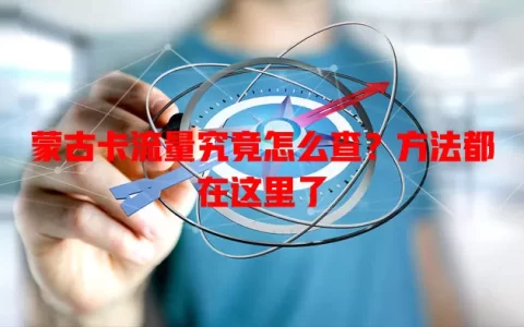 蒙古卡流量究竟怎么查？方法都在这里了