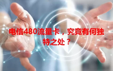 电信480流量卡，究竟有何独特之处？