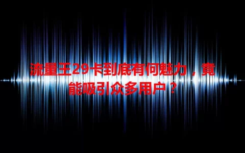 流量王29卡到底有何魅力，竟能吸引众多用户？