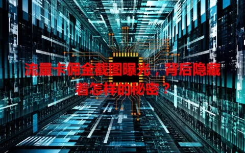 流量卡佣金截图曝光，背后隐藏着怎样的秘密？