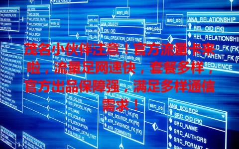 茂名小伙伴注意！官方流量卡来啦，流量足网速快，套餐多样，官方出品保障强，满足多样通信需求！