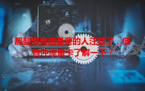 那些想省流量费的人注意了，低首冲流量卡了解一下？