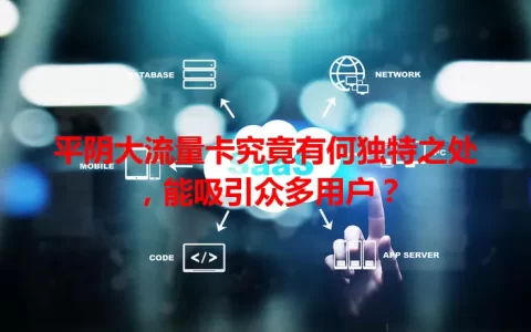 平阴大流量卡究竟有何独特之处，能吸引众多用户？