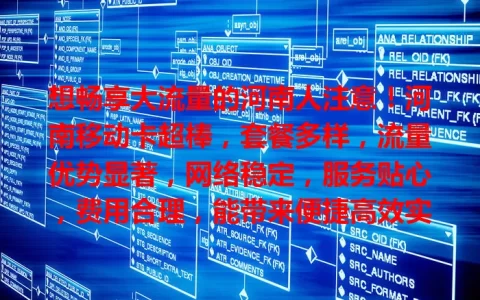 想畅享大流量的河南人注意！河南移动卡超棒，套餐多样，流量优势显著，网络稳定，服务贴心，费用合理，能带来便捷高效实惠上网体验