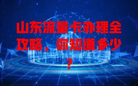 山东流量卡办理全攻略，你知道多少？