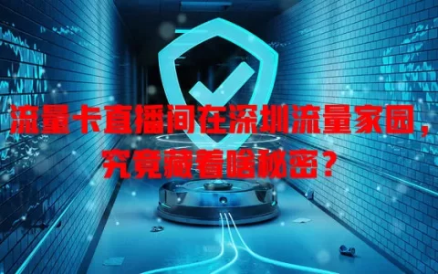 流量卡直播间在深圳流量家园，究竟藏着啥秘密？