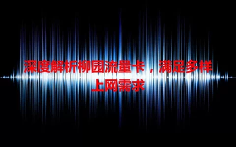 深度解析柳园流量卡，满足多样上网需求