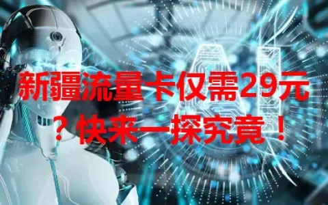 新疆流量卡仅需29元？快来一探究竟！