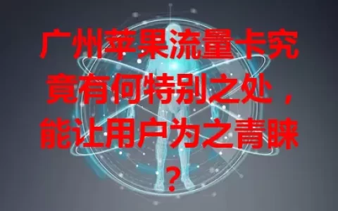 广州苹果流量卡究竟有何特别之处，能让用户为之青睐？