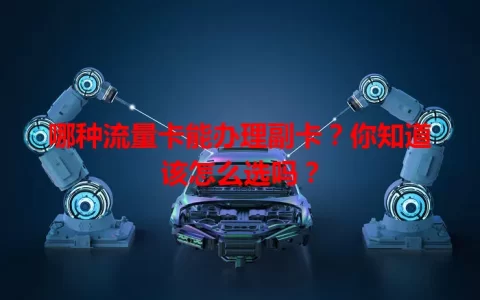 哪种流量卡能办理副卡？你知道该怎么选吗？