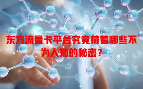 东方流量卡平台究竟藏着哪些不为人知的秘密？