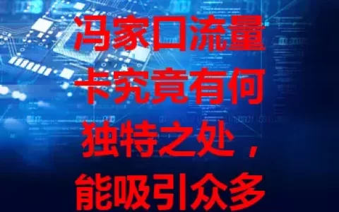 冯家口流量卡究竟有何独特之处，能吸引众多用户？