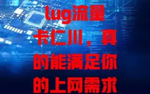 lug流量卡仁川，真的能满足你的上网需求？