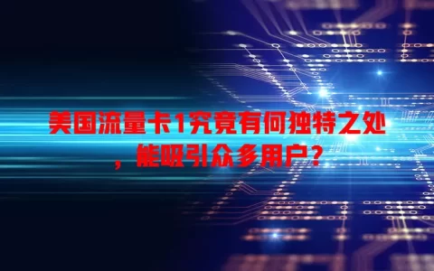 美国流量卡1究竟有何独特之处，能吸引众多用户？