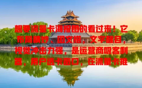 想要流量卡海报图的看过来！它布局精妙、图文搭，文字醒目，视觉冲击力强，是运营商吸客利器，用户选卡窗口，在流量卡推广与选择中不可或缺