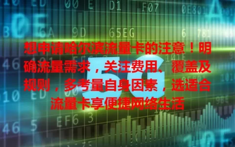 想申请哈尔滨流量卡的注意！明确流量需求，关注费用、覆盖及规则，多考量自身因素，选适合流量卡享便捷网络生活