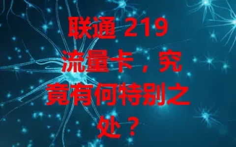 联通 219 流量卡，究竟有何特别之处？