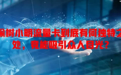 榆树小明流量卡到底有何独特之处，竟能吸引众人目光？