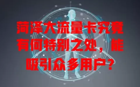 菏泽大流量卡究竟有何特别之处，能吸引众多用户？