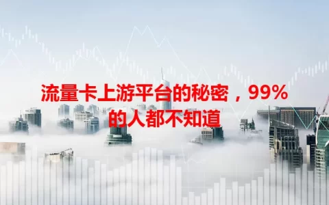 流量卡上游平台的秘密，99%的人都不知道