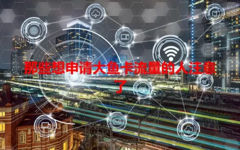 那些想申请大鱼卡流量的人注意了