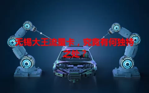 无锡大王流量卡，究竟有何独特之处？
