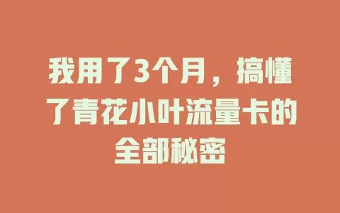 我用了3个月，搞懂了青花小叶流量卡的全部秘密