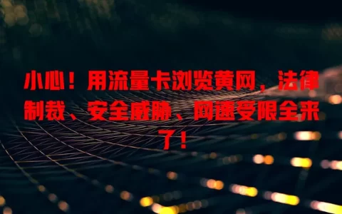 小心！用流量卡浏览黄网，法律制裁、安全威胁、网速受限全来了！