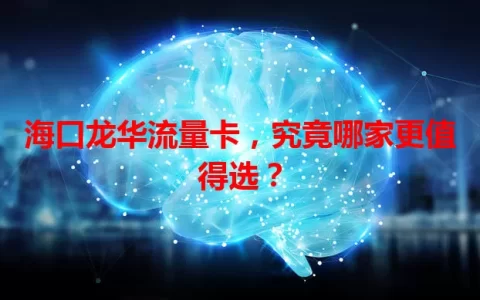 海口龙华流量卡，究竟哪家更值得选？