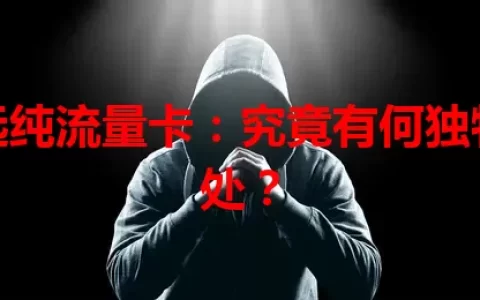 致远纯流量卡：究竟有何独特之处？
