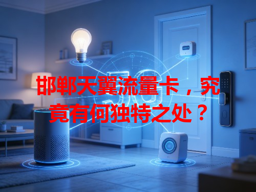 邯郸天翼流量卡，究竟有何独特之处？