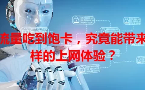 大流量吃到饱卡，究竟能带来怎样的上网体验？