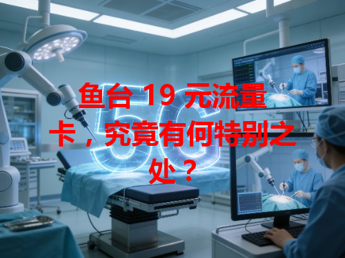 鱼台 19 元流量卡，究竟有何特别之处？