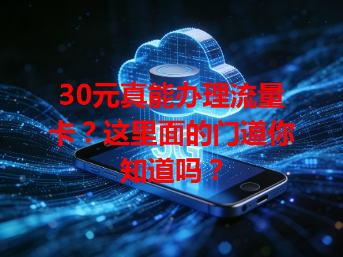 30元真能办理流量卡？这里面的门道你知道吗？