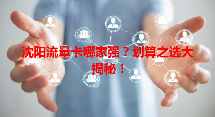 沈阳流量卡哪家强？划算之选大揭秘！