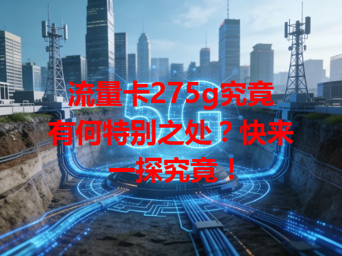 流量卡275g究竟有何特别之处？快来一探究竟！