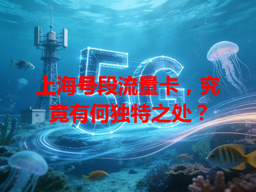 上海号段流量卡，究竟有何独特之处？