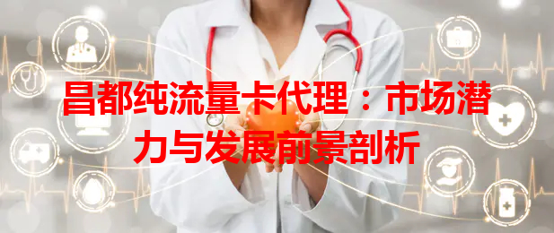 昌都纯流量卡代理：市场潜力与发展前景剖析