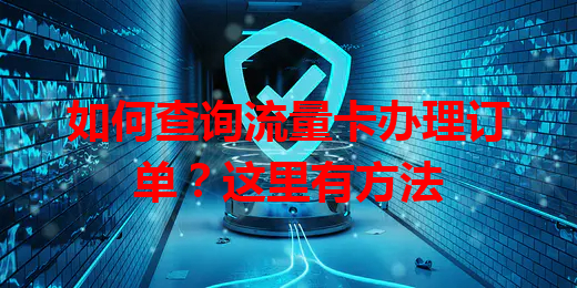 如何查询流量卡办理订单？这里有方法