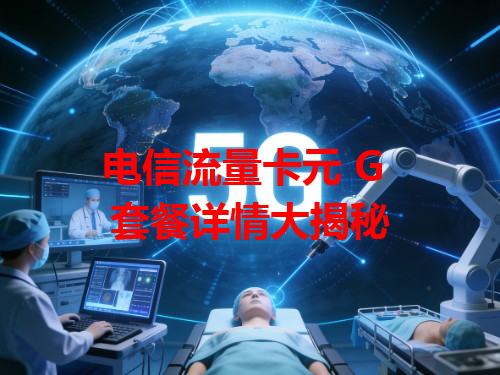 电信流量卡元 G 套餐详情大揭秘