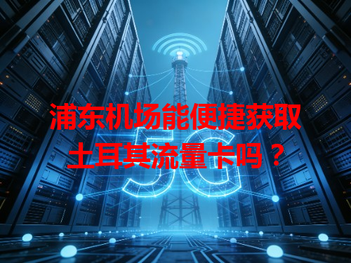 浦东机场能便捷获取土耳其流量卡吗？