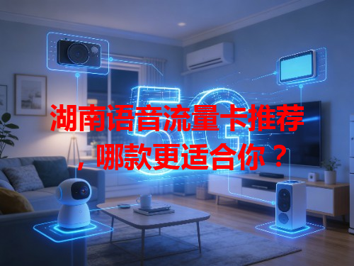 湖南语音流量卡推荐，哪款更适合你？