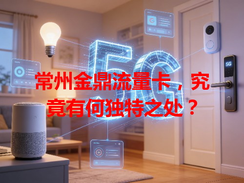 常州金鼎流量卡，究竟有何独特之处？
